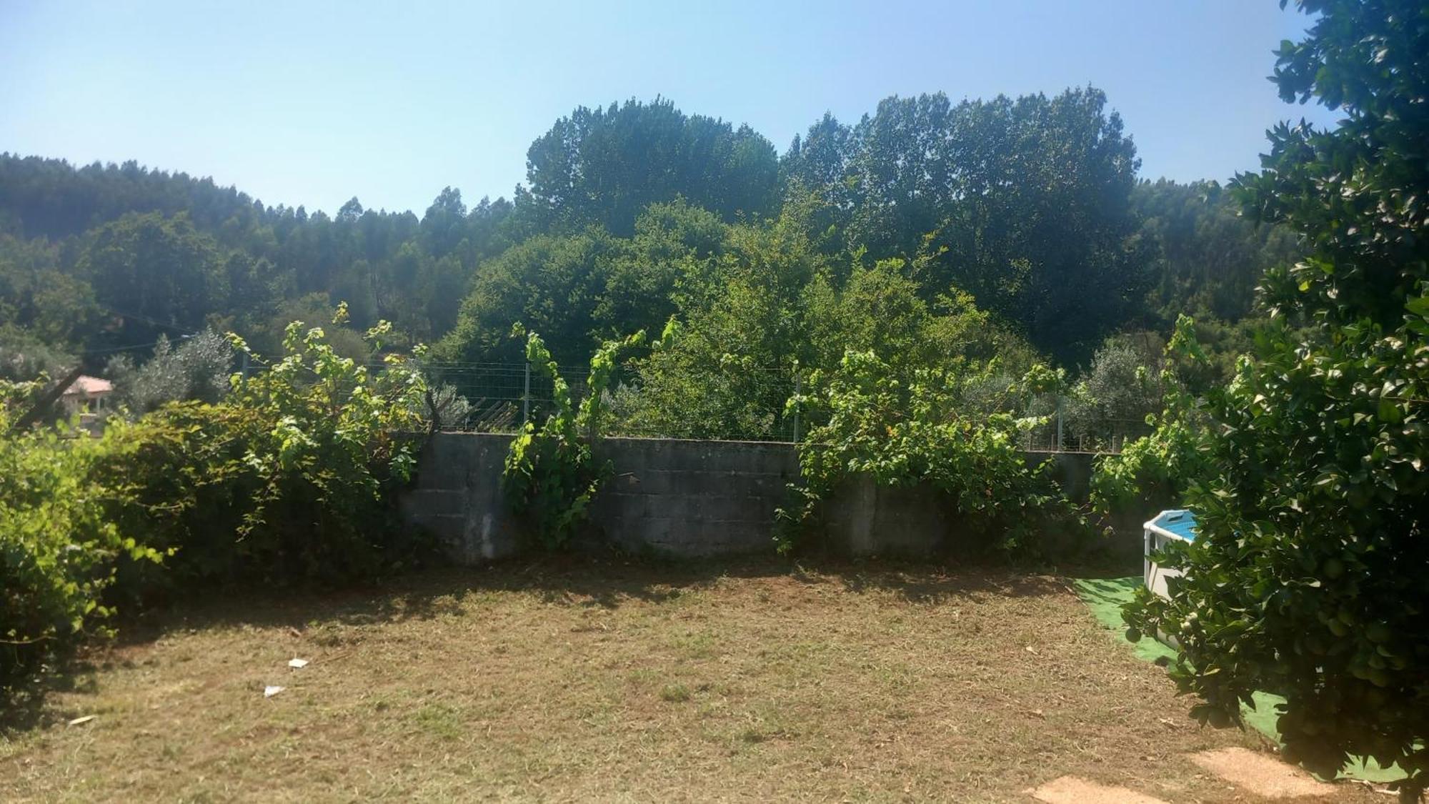 Vila Facaia Cantinho Da Aldeia מראה חיצוני תמונה